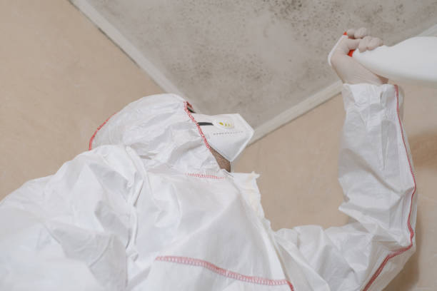 Best Residential Mold Removal  in Wilmer, TX