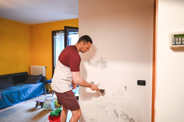 Mold Removal Process in Wilmer, TX